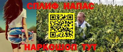 PSILOCYBIN Аргун